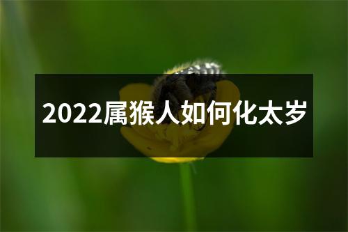 2025属猴人如何化太岁