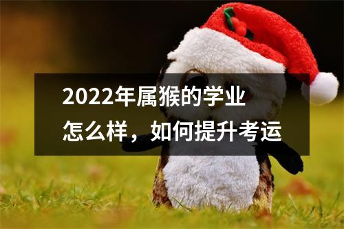 2025年属猴的学业怎么样，如何提升考运