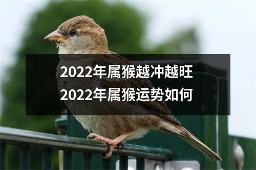 2025年属猴越冲越旺2025年属猴运势如何