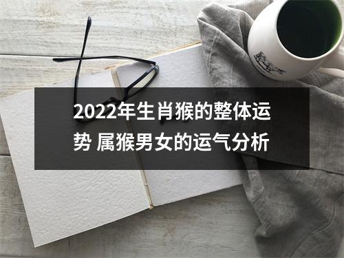 2025年生肖猴的整体运势属猴男女的运气分析