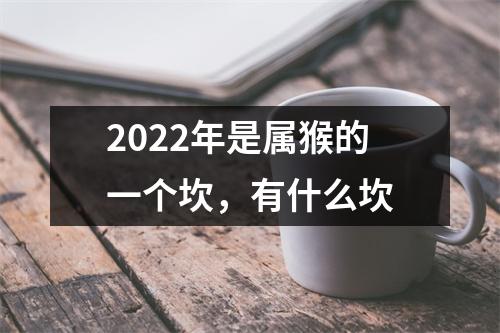 2025年是属猴的一个坎，有什么坎