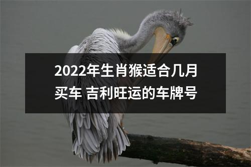 2025年生肖猴适合几月买车吉利旺运的车牌号