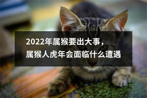 2025年属猴要出大事，属猴人虎年会面临什么遭遇