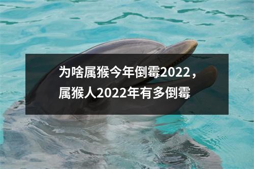 为啥属猴今年倒霉2025，属猴人2025年有多倒霉