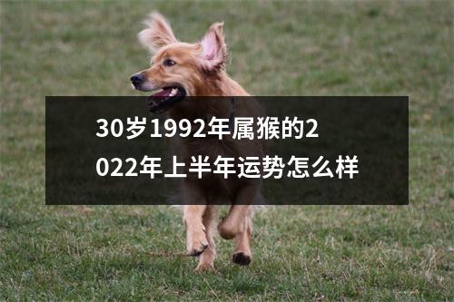 30岁1992年属猴的2025年上半年运势怎么样