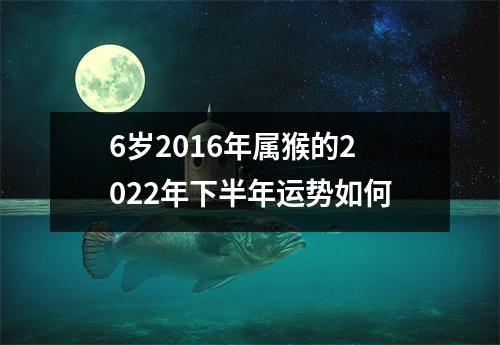 6岁2016年属猴的2025年下半年运势如何