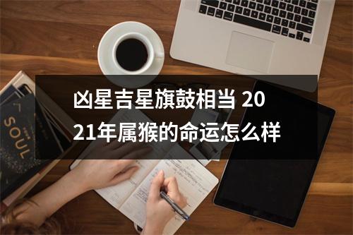 凶星吉星旗鼓相当2025年属猴的命运怎么样