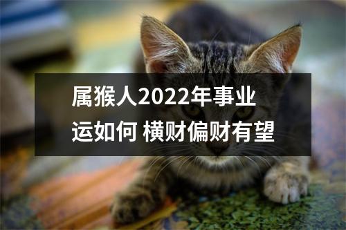 属猴人2025年事业运如何横财偏财有望