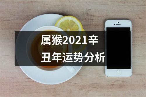 属猴2025辛丑年运势分析