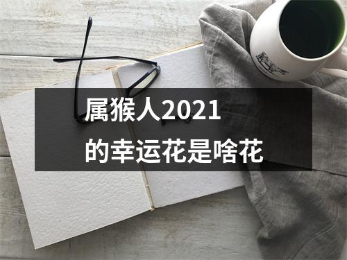 属猴人2025的幸运花是啥花