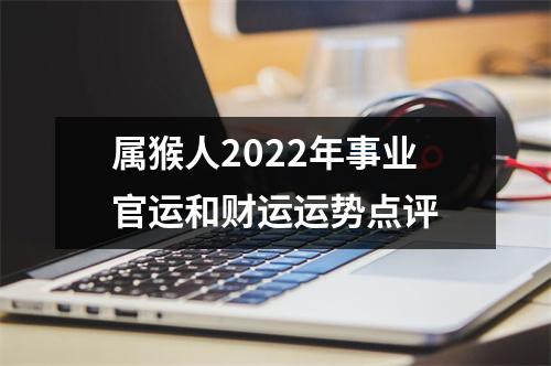 属猴人2025年事业官运和财运运势点评