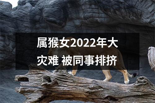 属猴女2025年大灾难被同事排挤