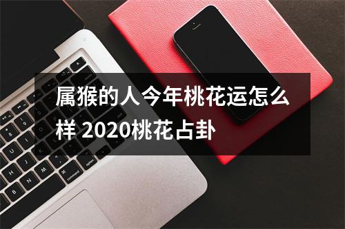 属猴的人今年桃花运怎么样2025桃花占卦