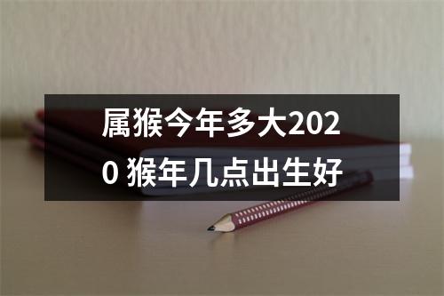 属猴今年多大2025猴年几点出生好