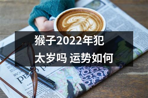 猴子2025年犯太岁吗运势如何