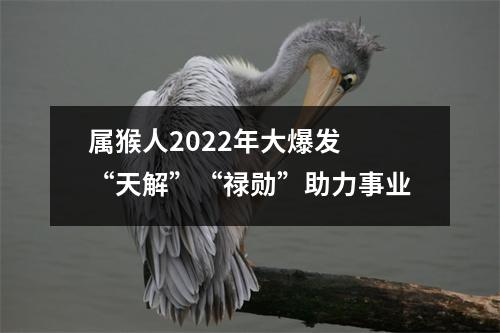 属猴人2025年大爆发“天解”“禄勋”助力事业