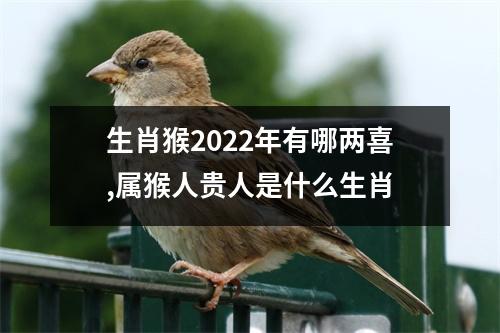 生肖猴2025年有哪两喜,属猴人贵人是什么生肖