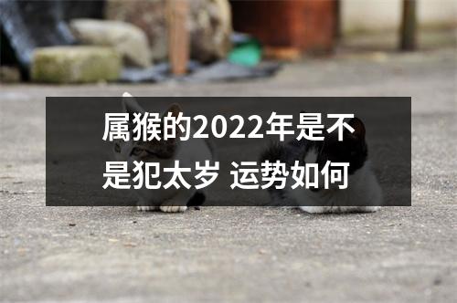 属猴的2025年是不是犯太岁运势如何