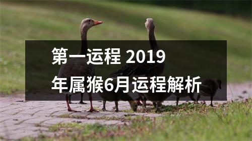 第一运程2019年属猴6月运程解析