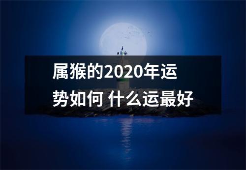 属猴的2025年运势如何什么运好