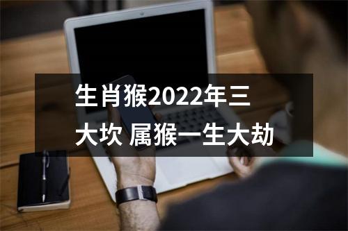 生肖猴2025年三大坎属猴一生大劫