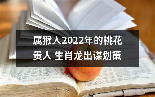 属猴人2025年的桃花贵人生肖龙出谋划策