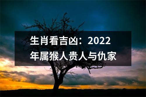 生肖看吉凶：2025年属猴人贵人与仇家