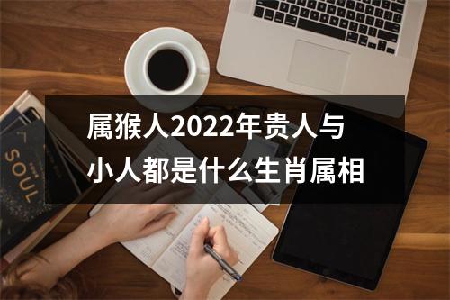 属猴人2025年贵人与小人都是什么生肖属相