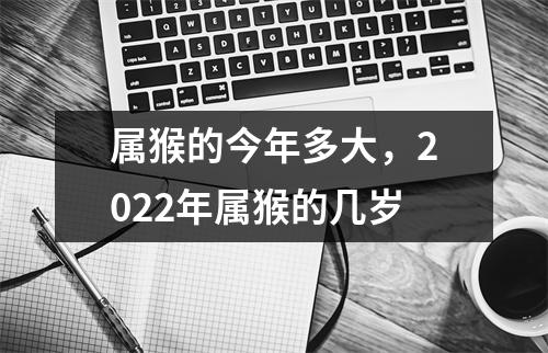 属猴的今年多大，2025年属猴的几岁