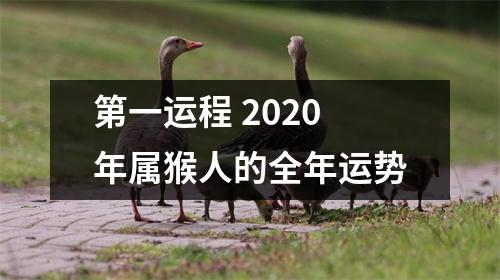 第一运程2025年属猴人的全年运势