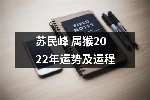 苏民峰属猴2025年运势及运程