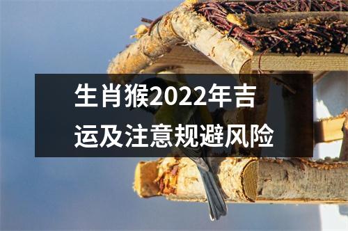 生肖猴2025年吉运及注意规避风险