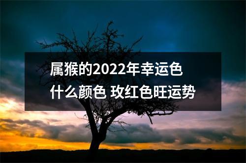 属猴的2025年幸运色什么颜色玫红色旺运势