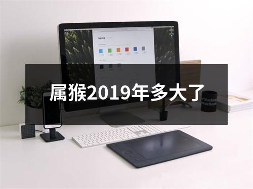 属猴2019年多大了