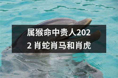 属猴命中贵人2025肖蛇肖马和肖虎