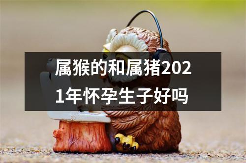 属猴的和属猪2025年怀孕生子好吗