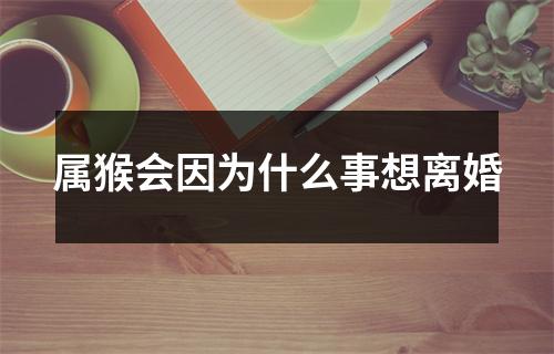 属猴会因为什么事想离婚