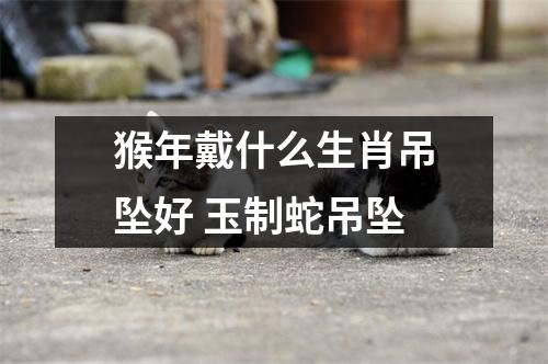 猴年戴什么生肖吊坠好玉制蛇吊坠