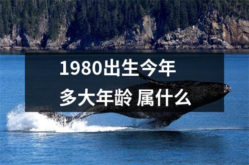 1980出生今年多大年龄属什么