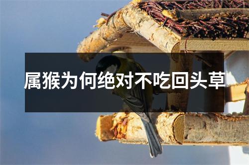 属猴为何绝对不吃回头草