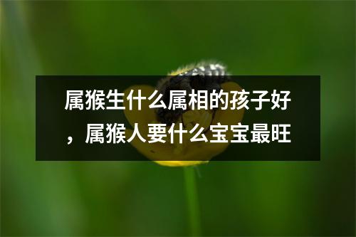 属猴生什么属相的孩子好，属猴人要什么宝宝旺