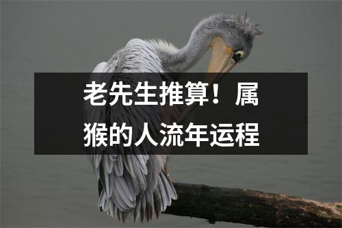 老先生推算！属猴的人流年运程