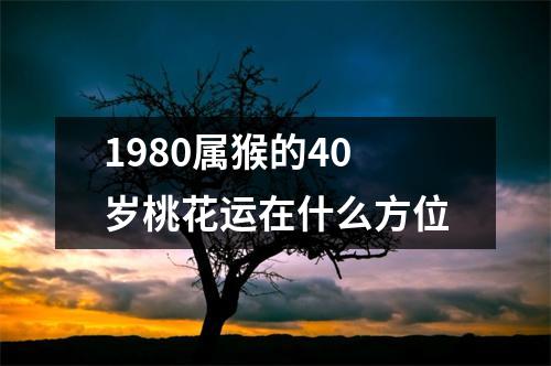 1980属猴的40岁桃花运在什么方位