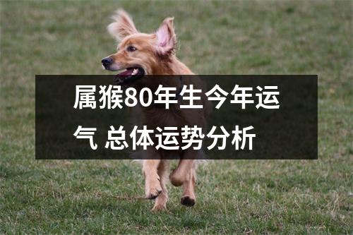 <h3>属猴80年生今年运气总体运势分析