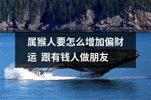 属猴人要怎么增加偏财运跟有钱人做朋友