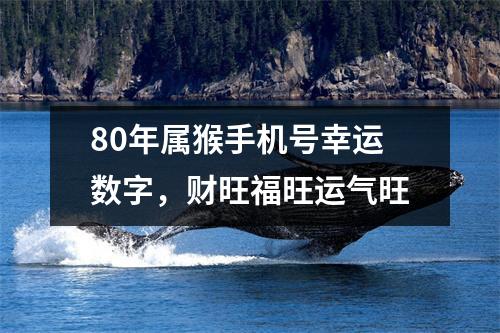 <h3>80年属猴手机号幸运数字，财旺福旺运气旺