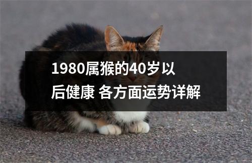 1980属猴的40岁以后健康各方面运势详解