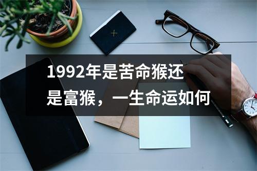 <h3>1992年是苦命猴还是富猴，一生命运如何