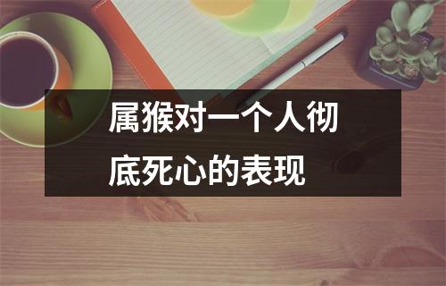 属猴对一个人彻底死心的表现