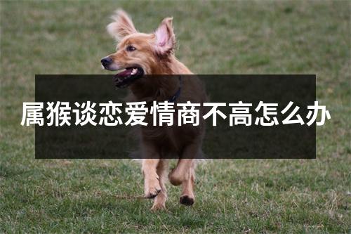 属猴谈恋爱情商不高怎么办